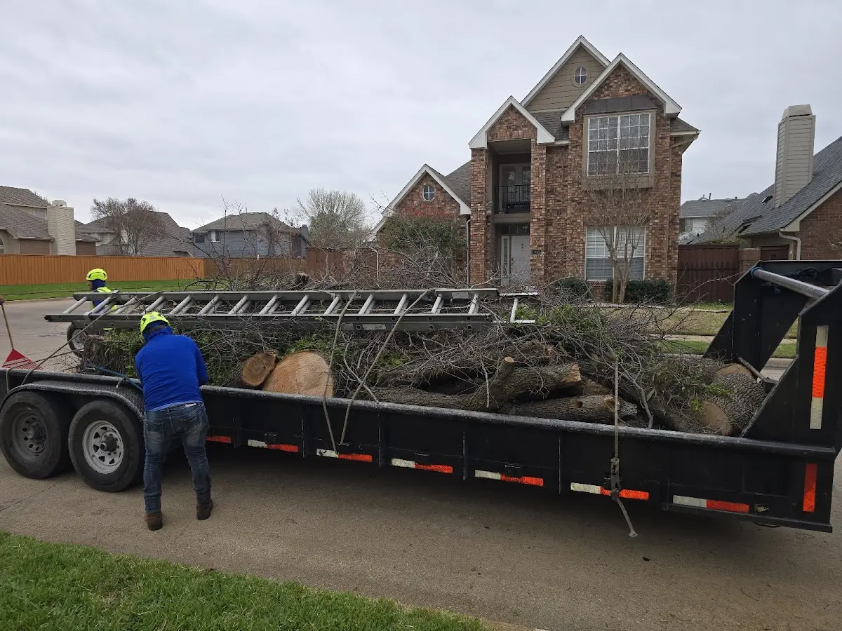 Expert Tree Fertilization with proper safety equipment in Lock Springs